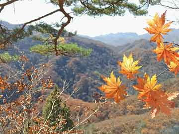 北京墓地风水评论(北京墓地风水评述)